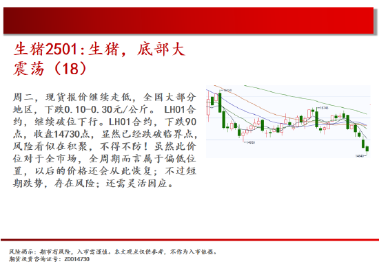 中天期货:棕榈再度探顶 橡胶重心上移 第8张