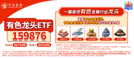 铅，2025年会上演奇迹吗？国?；嵫芯客平鞘懈?！有色龙头ETF（159876）盘中涨超2%，广晟有色涨停封板 第3张