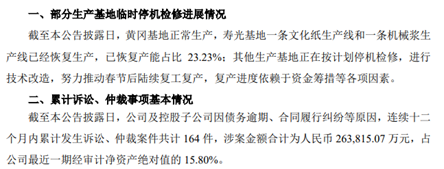 产能检修、诉讼缠身，造纸巨头晨鸣纸业2024年预亏65亿至75亿 第3张